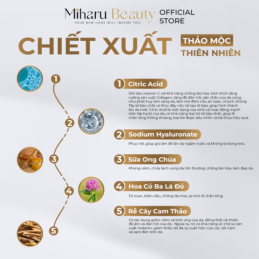 thành phần chính