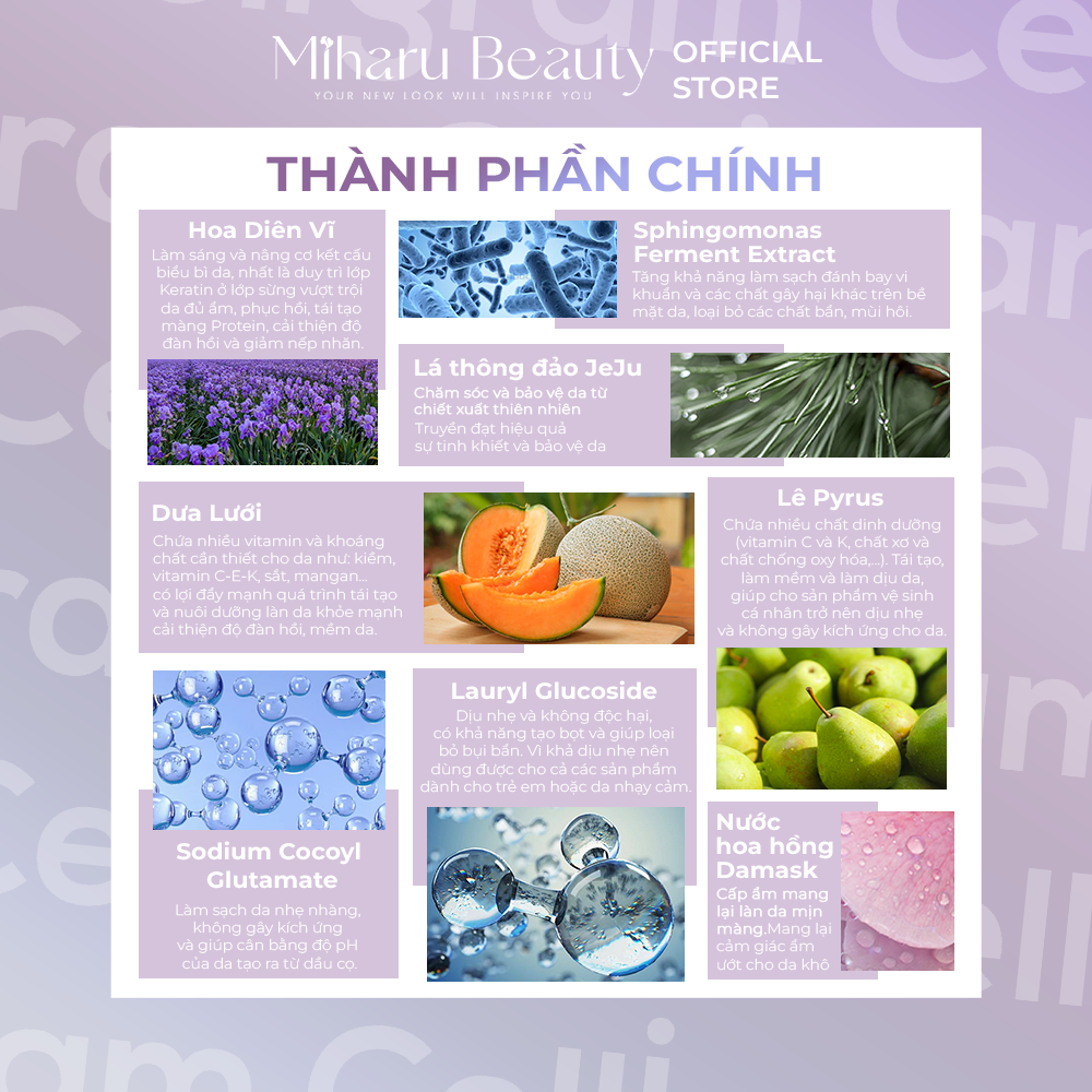 thành phần chính