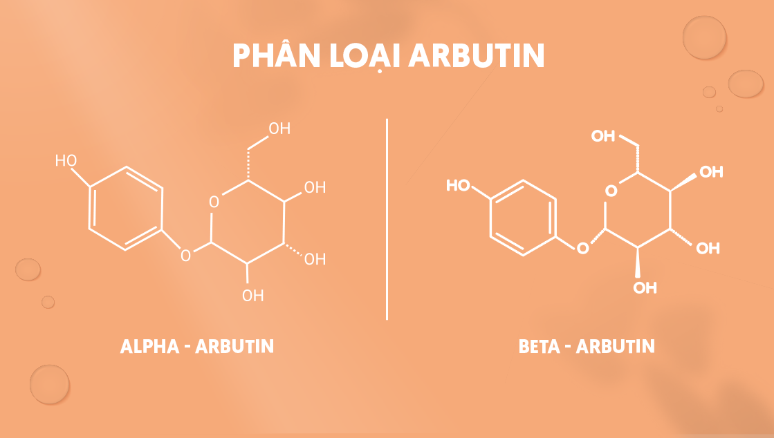 Phân loại Arbutin trong ứng dụng làm đẹp