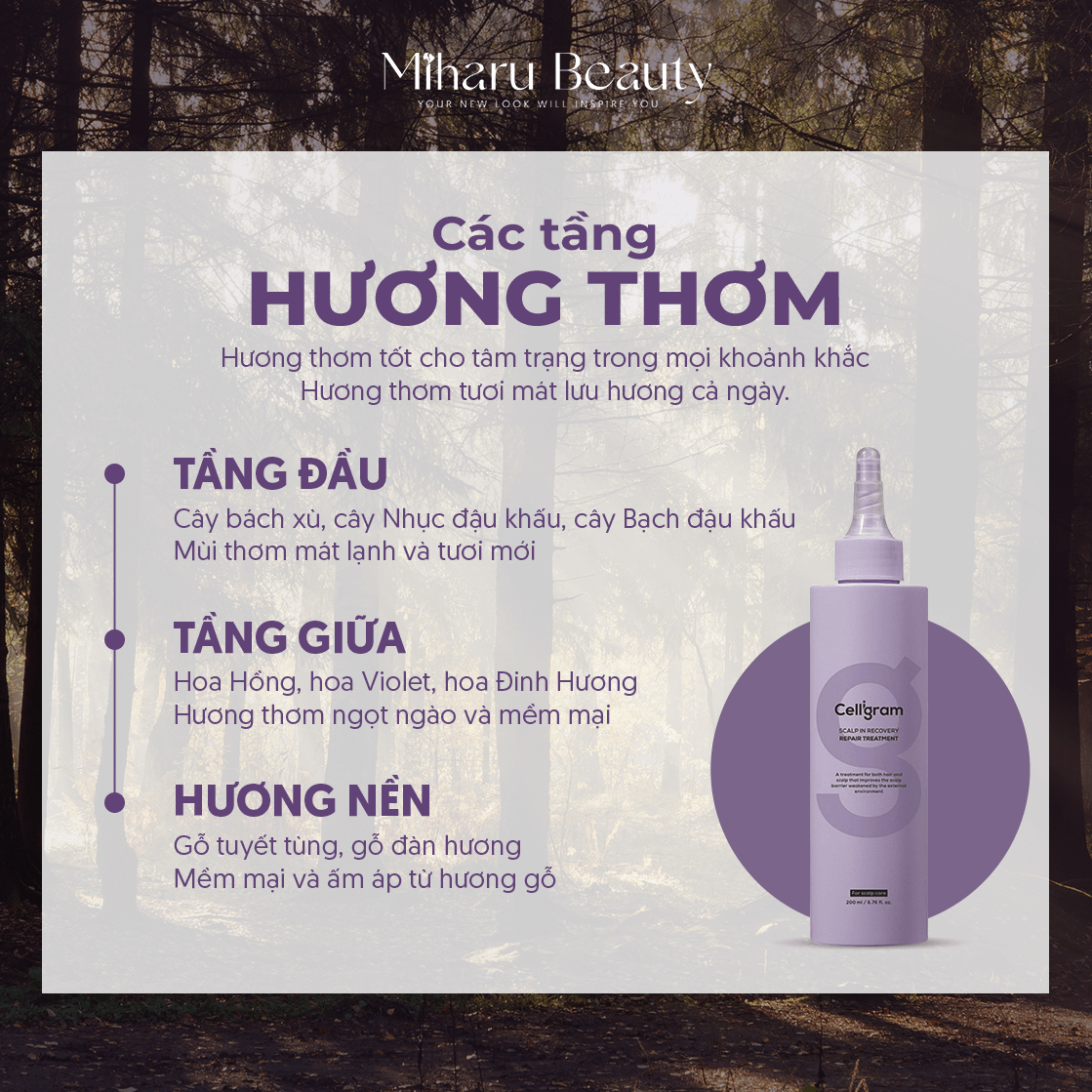 Hương thơm Repair Treatment