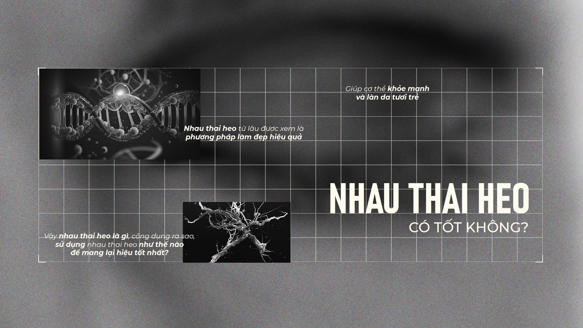 NHAU THAI HEO CÓ TỐT KHÔNG?