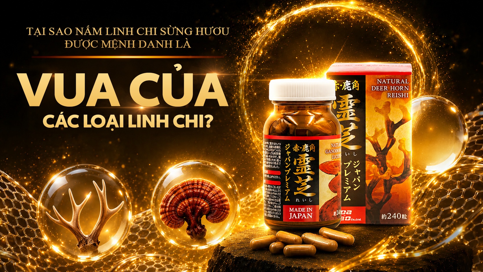 Tại sao Nấm linh chi sừng hươu được mệnh danh là 