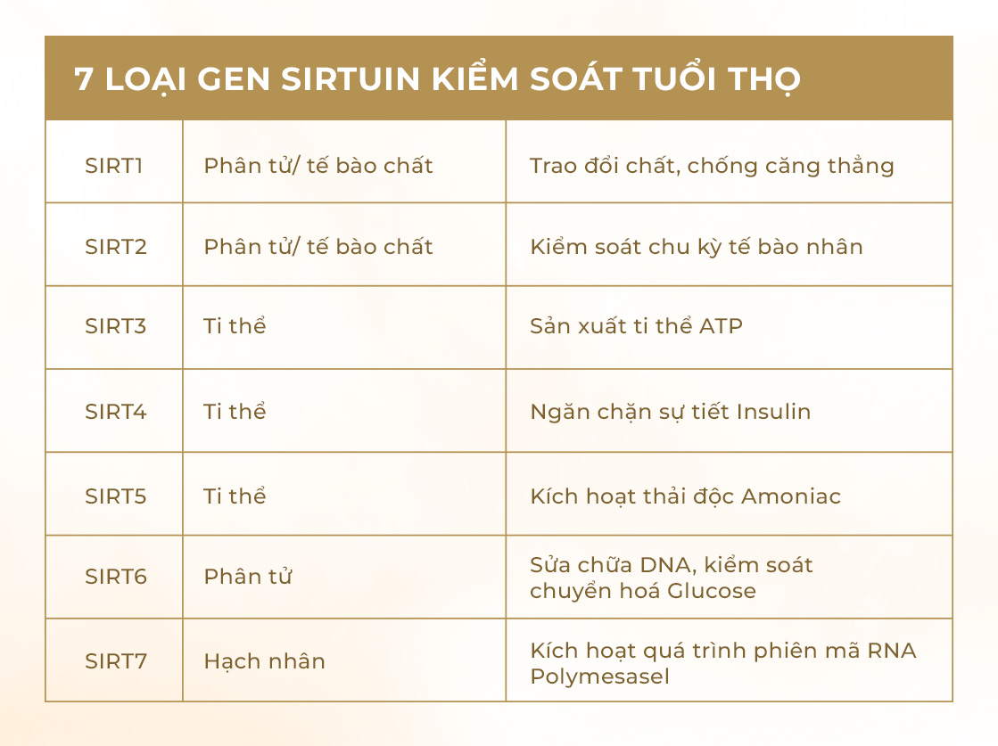 7 loại gen trường thọ