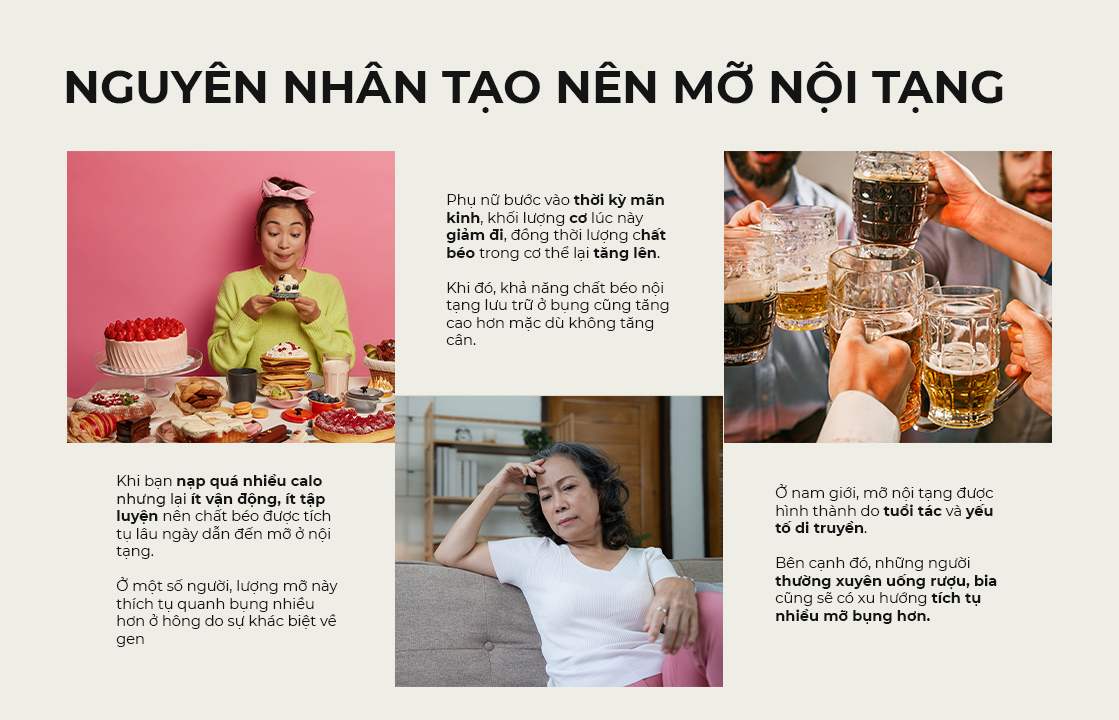 Nguyên nhân tạo nên mỡ nội tạng