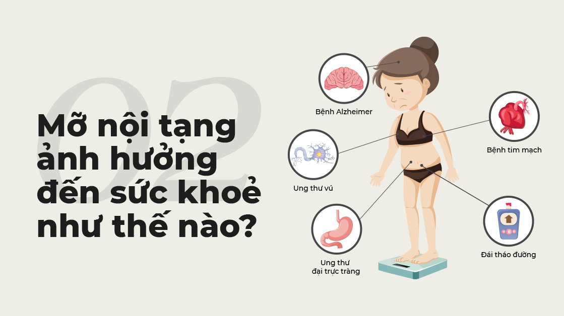 Mỡ nội tạng ảnh hưởng đến sức khoẻ như thế nào?