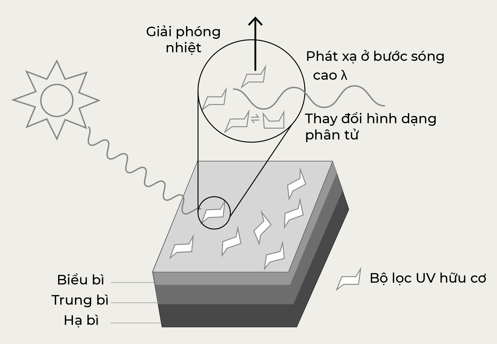 Màng lọc chống nắng hoá học