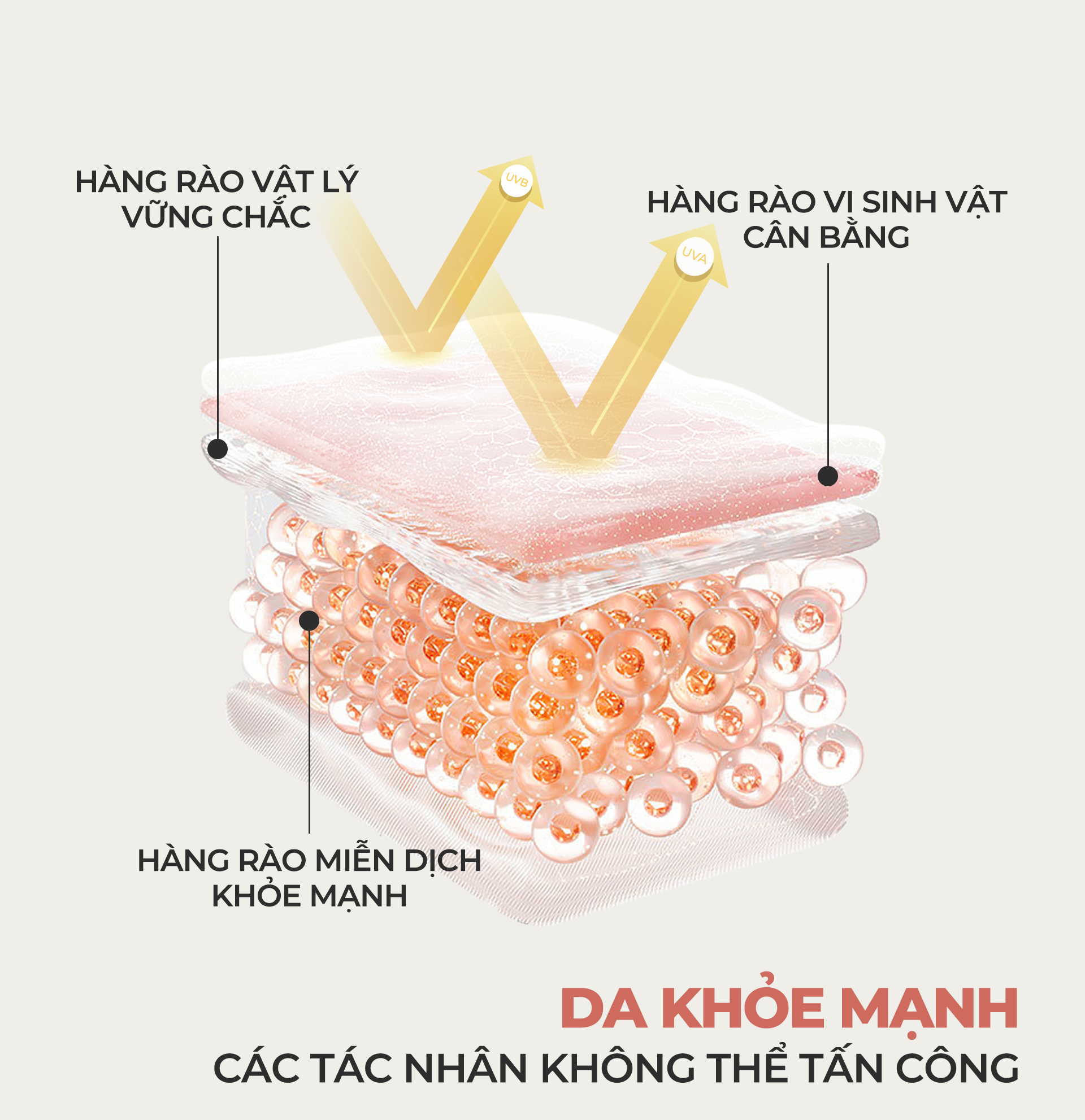 Tác dụng của màng lọc kem chống nắng