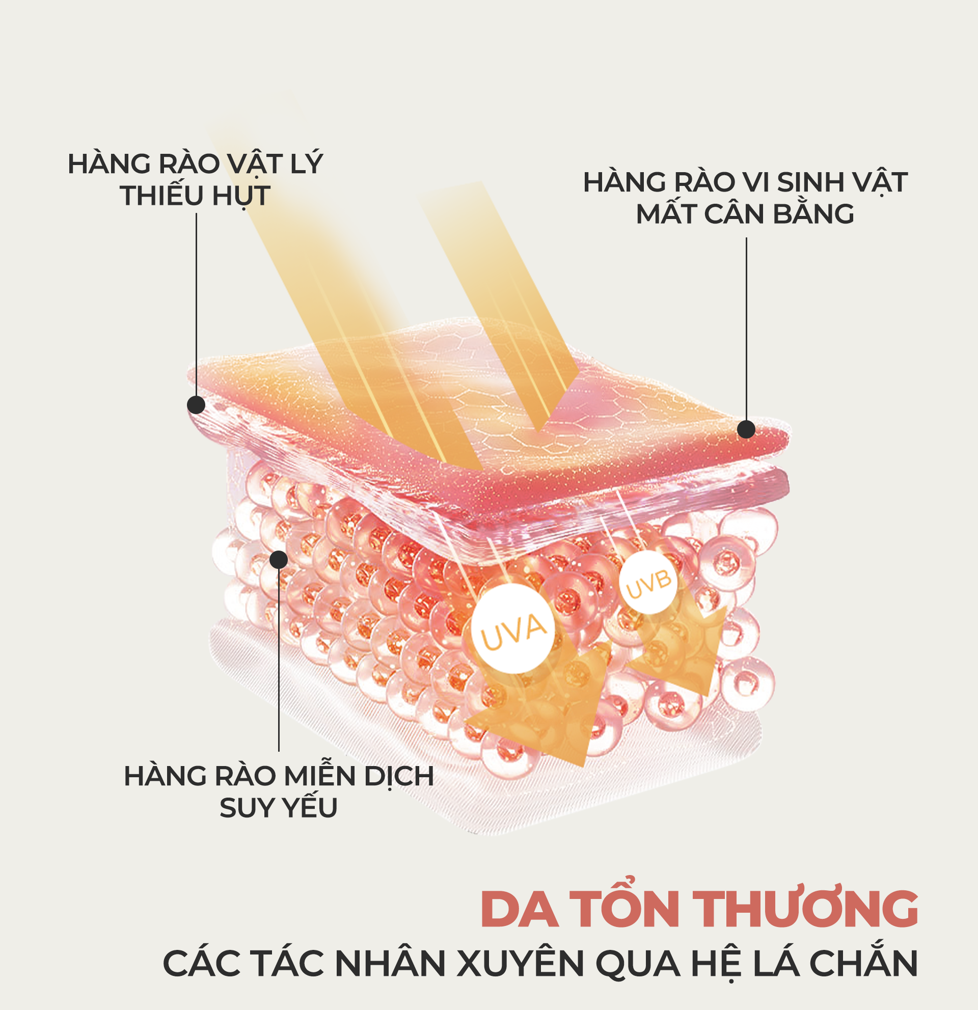 Tác dụng của màng lọc kem chống nắng -1