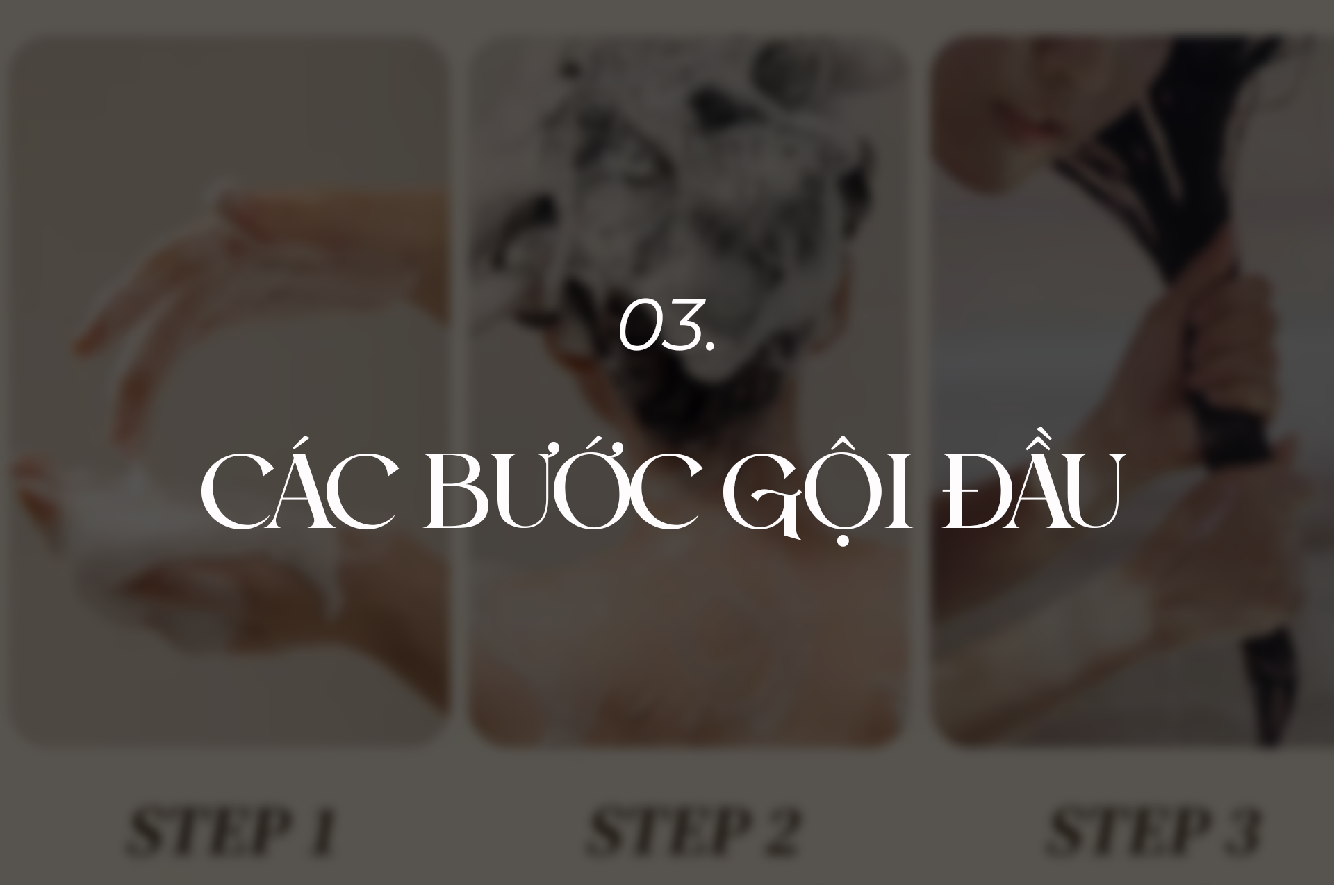 Các bước gội đầu.