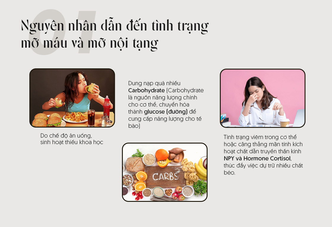 Nguyên nhân dẫn đến tình trạng mỡ máu và mỡ nội tạng