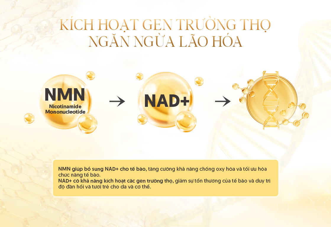 Kích hoạt gen trường thọ ngăn ngừa lão hóa