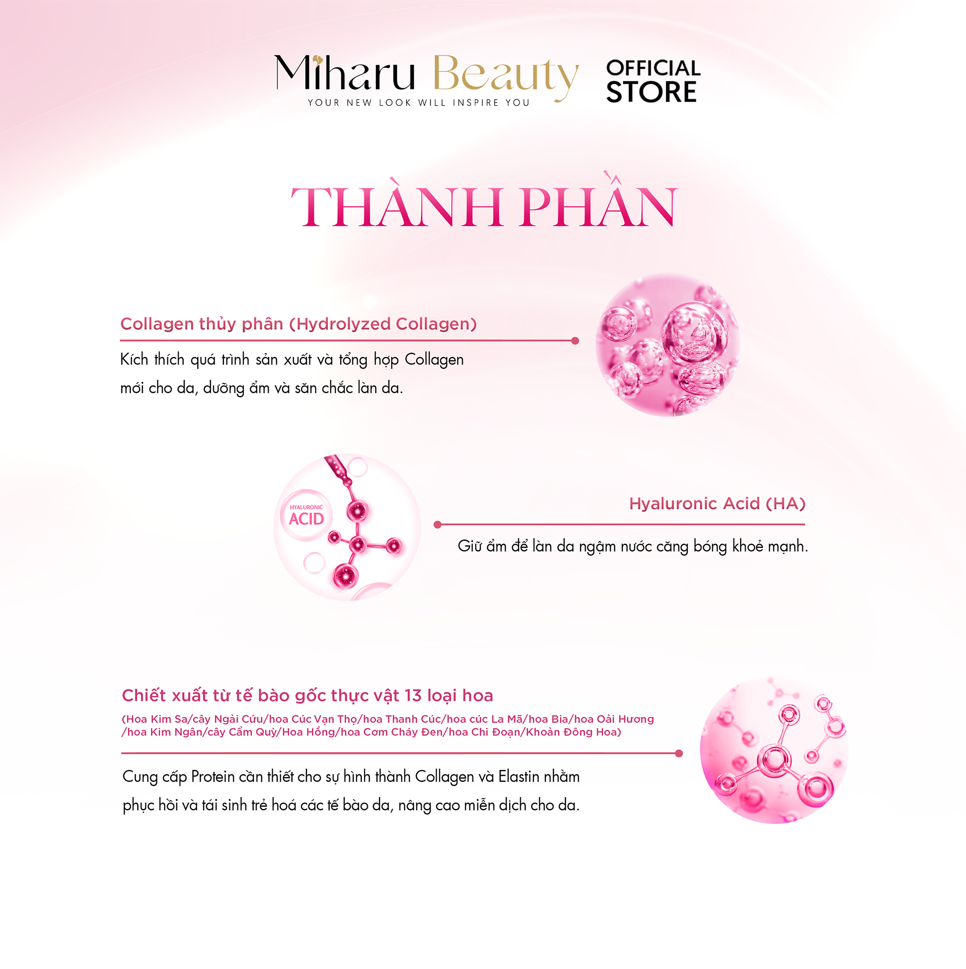 Thành phần nổi bật của Lilica