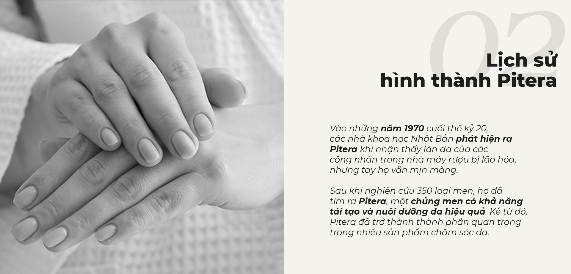 Lịch sử hình thành Pitera