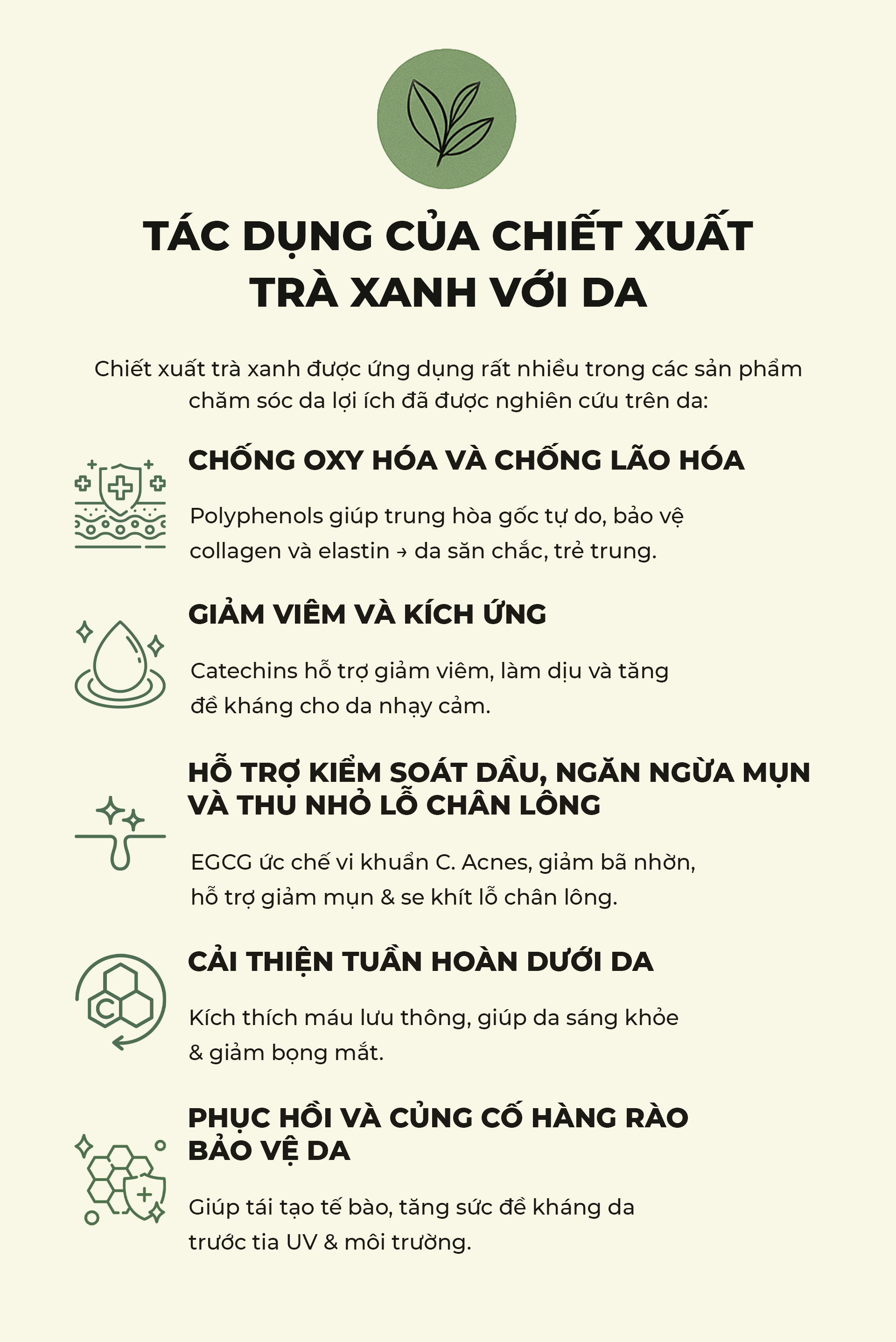 Tác dụng của chiết xuất trà xanh với da