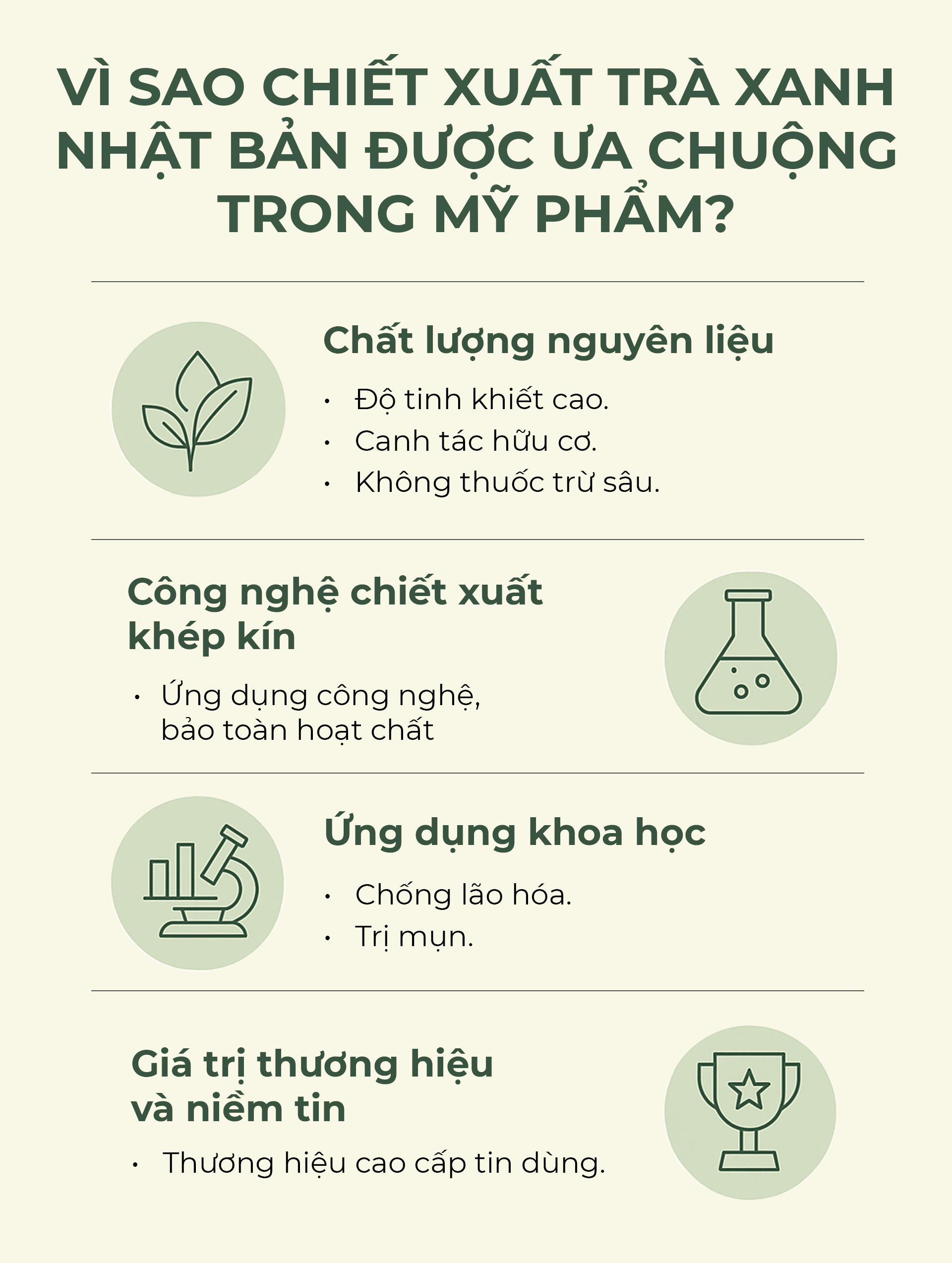 Vì sao chiết xuất trà xanh Nhật Bản được ưa chuộng trong mỹ phẩm