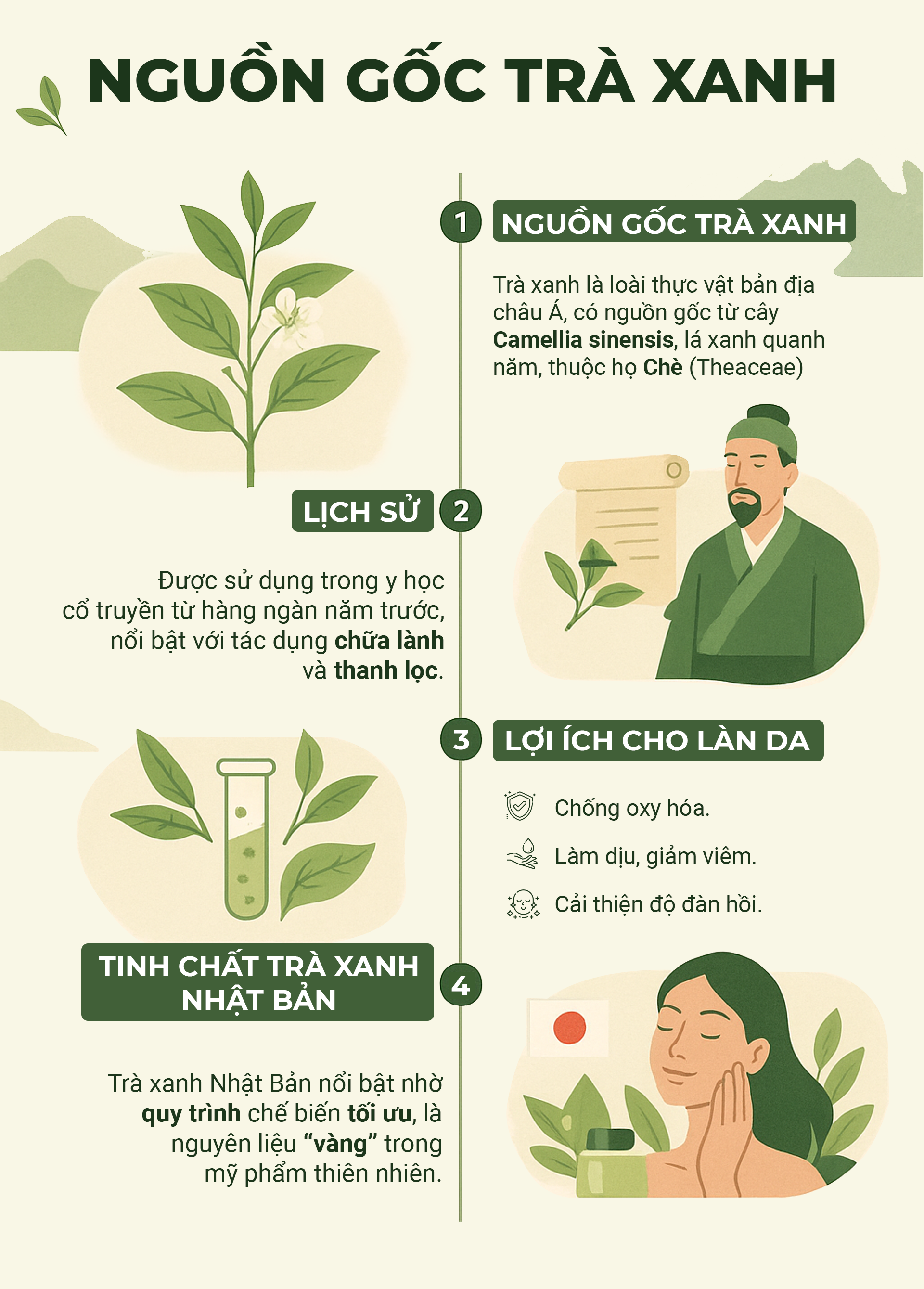 Nguồn gốc của trà xanh