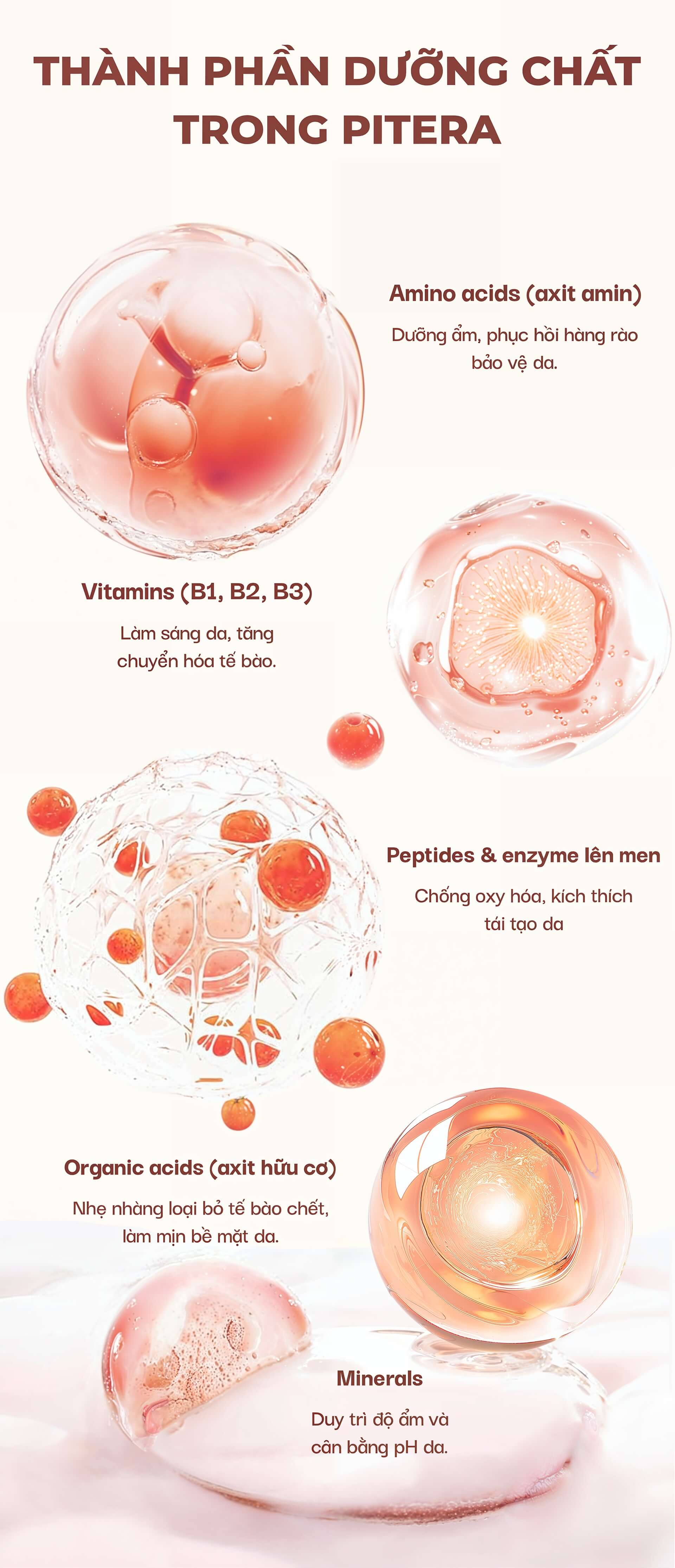 Thành phần dưỡng chất trong Pitera