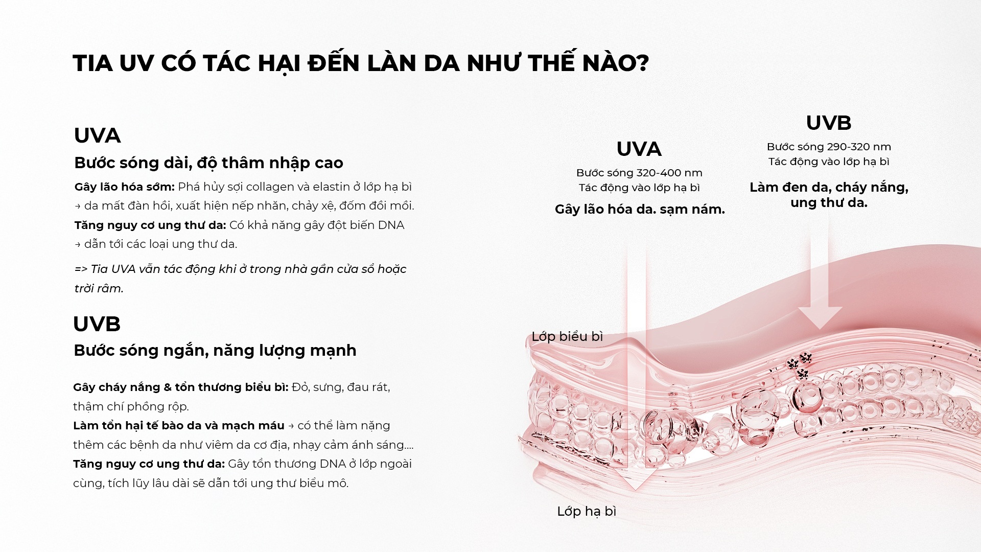 Tia UV có tác hại đến làn da như thế nào?