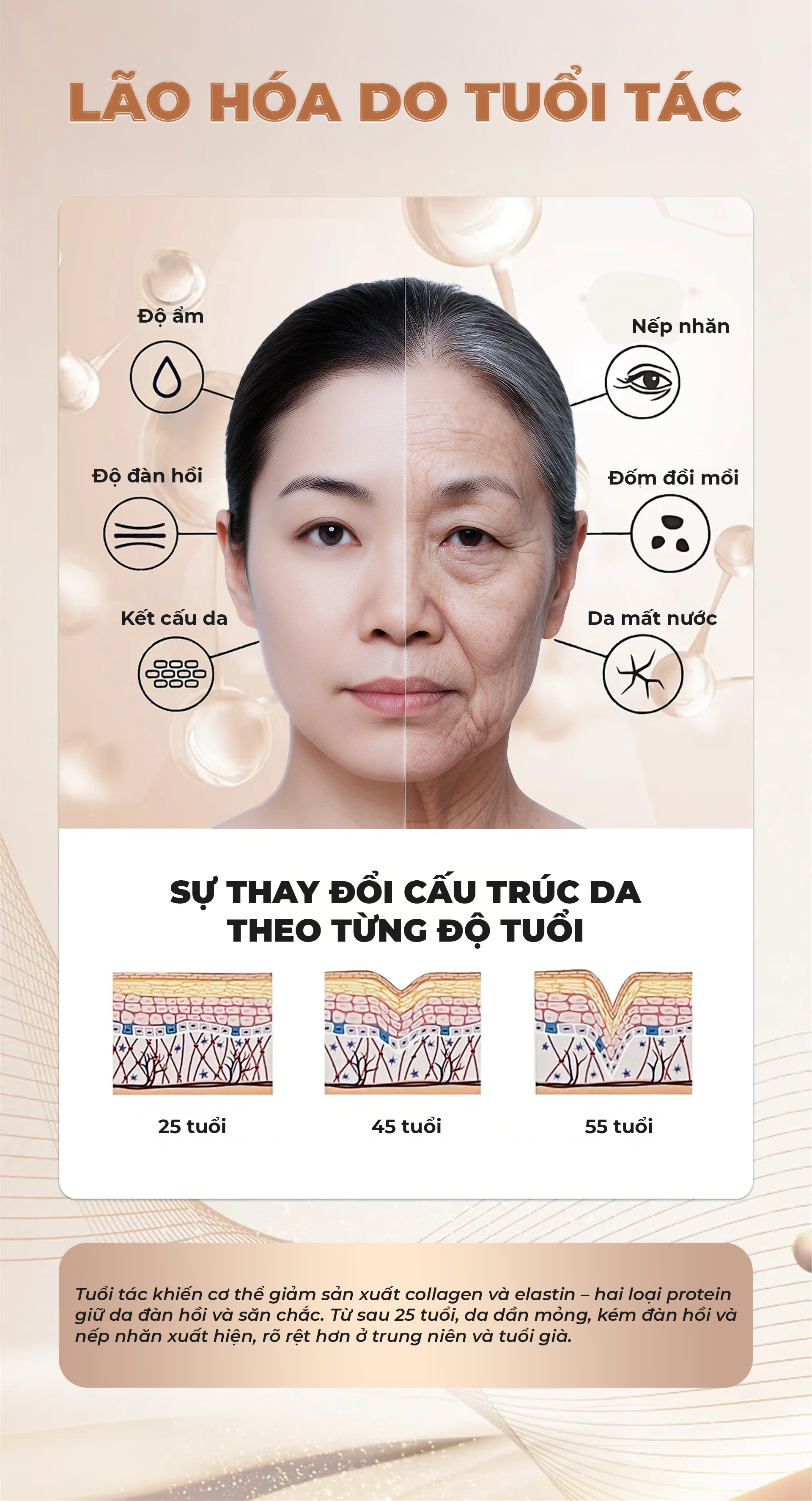 Lão hoá do tuổi tác