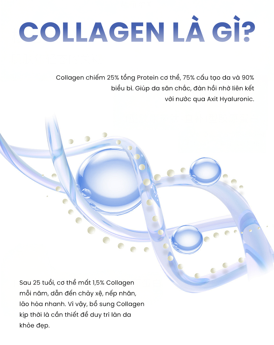 Collagen là gì?
