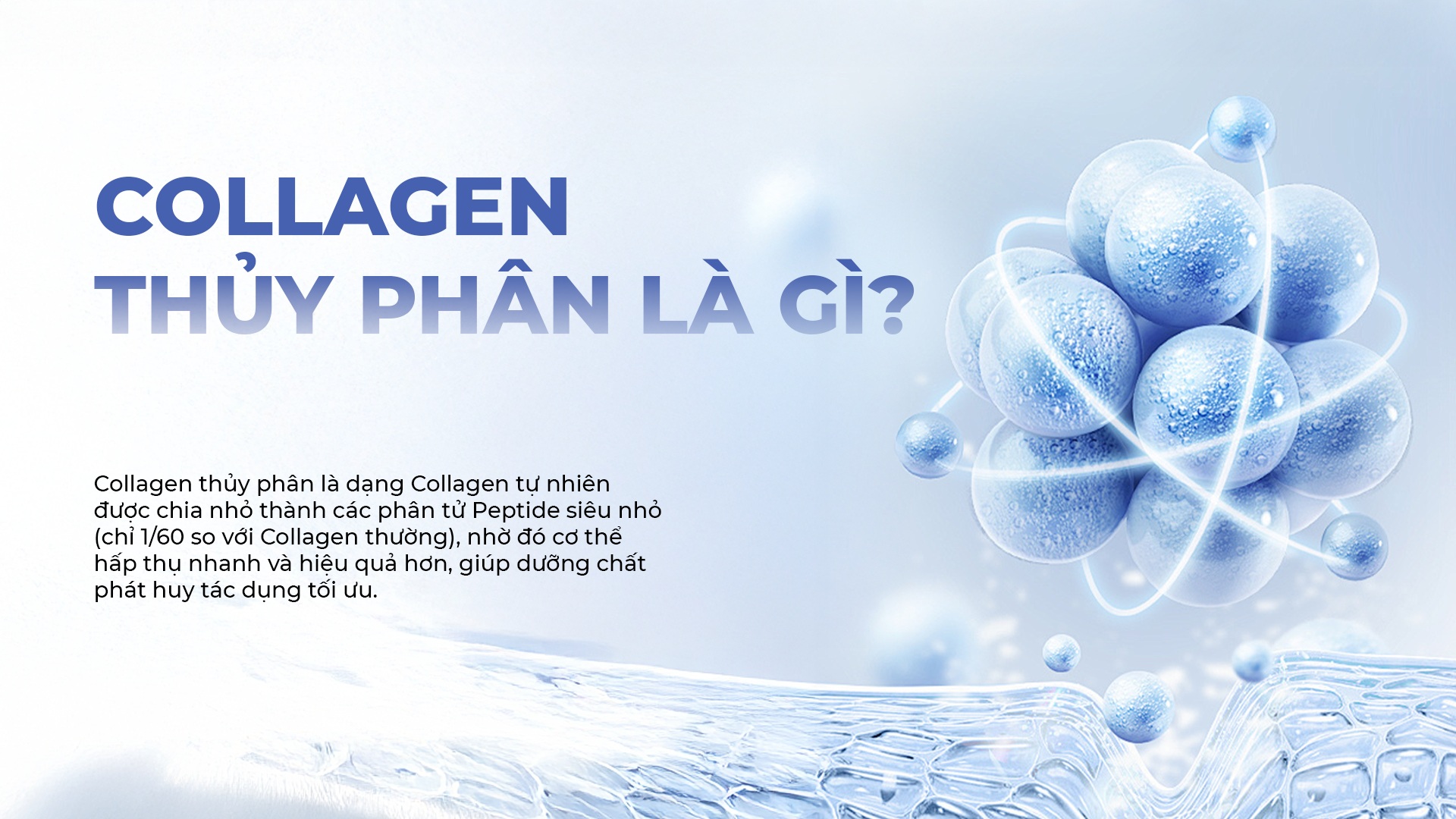 Collagen thủy phân là gì?