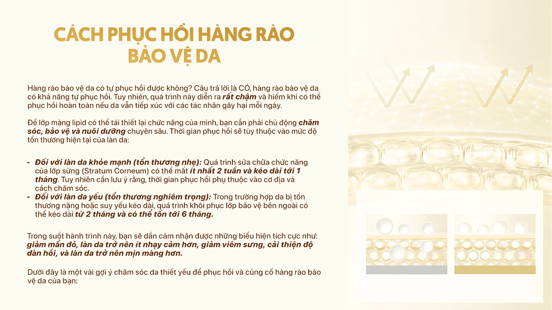 Cách phục hồi hàng rào bảo vệ da