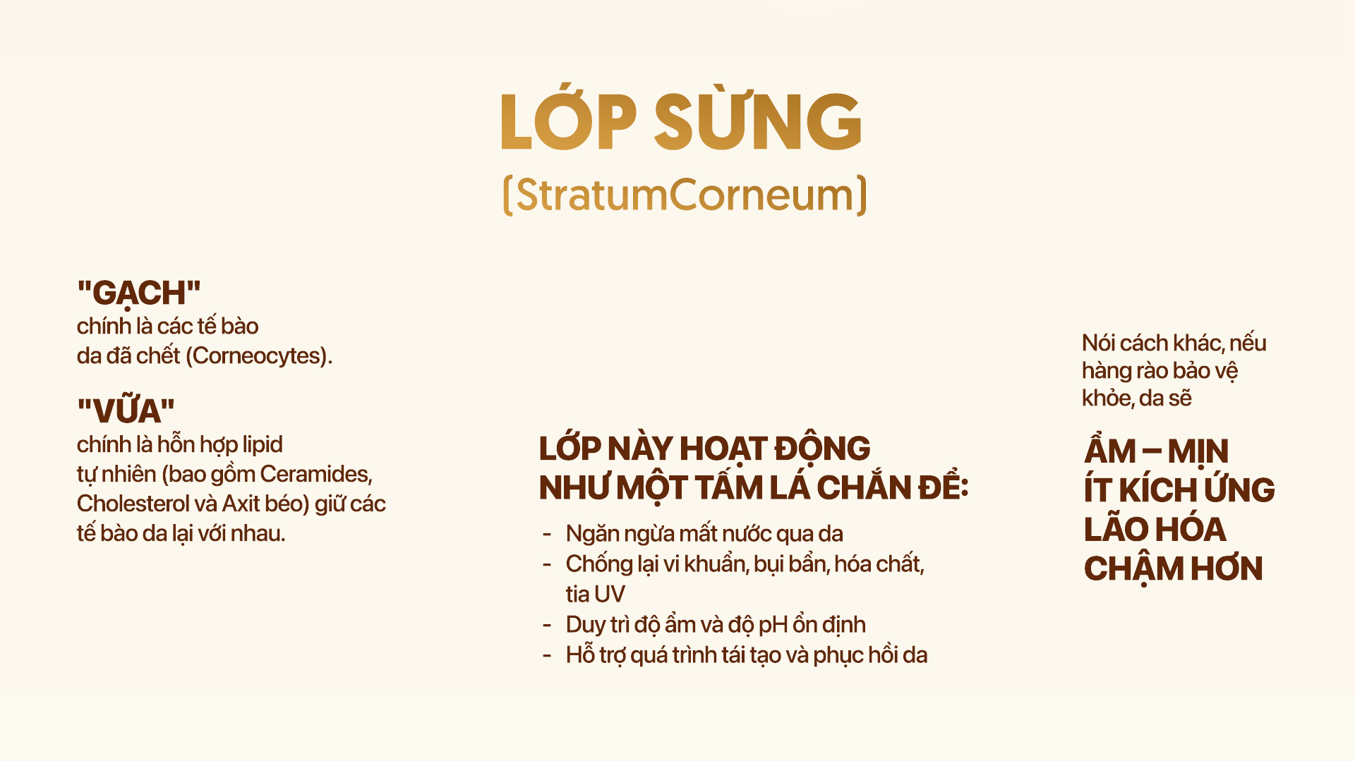 Hàng rào bảo vệ da