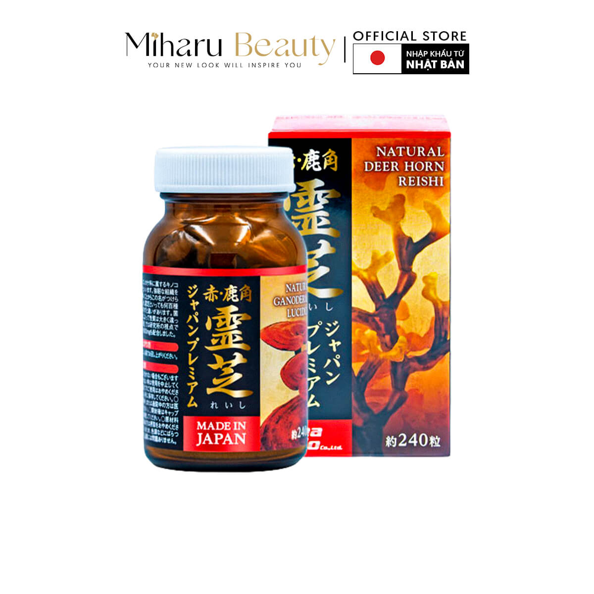 Nấm Linh Chi Sừng Hươu - Natural Deer Horn Reishi