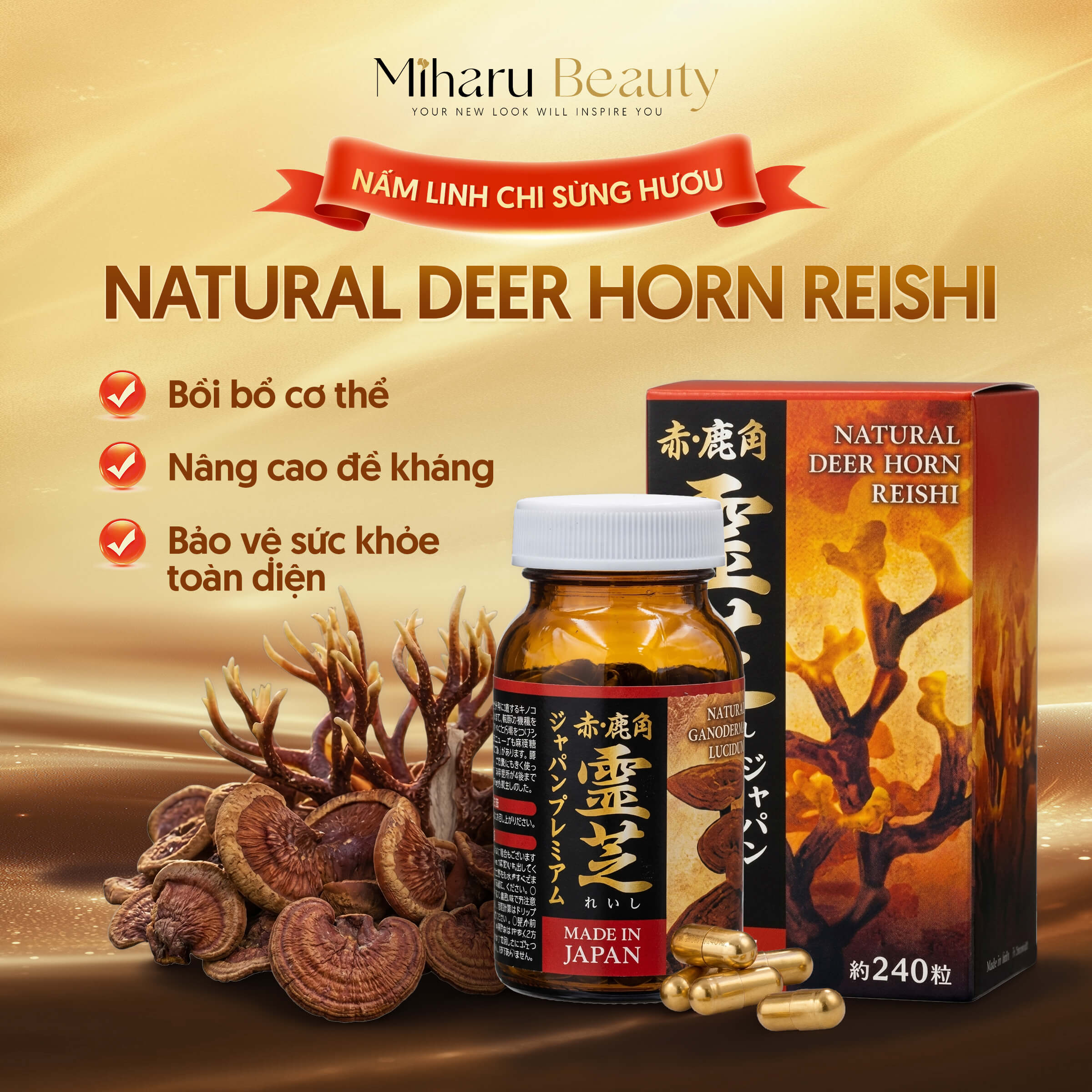 Nấm Linh Chi Sừng Hươu - Natural Deer Horn Reishi