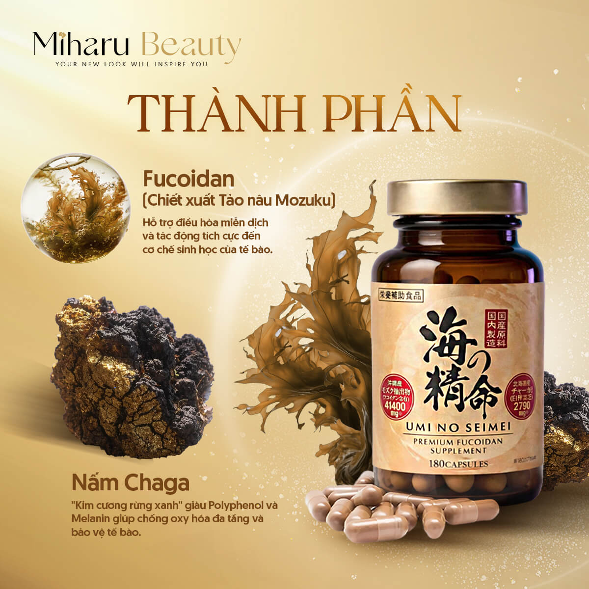 Viên uống tảo nâu Fucoidan Umi No Seimei Premium