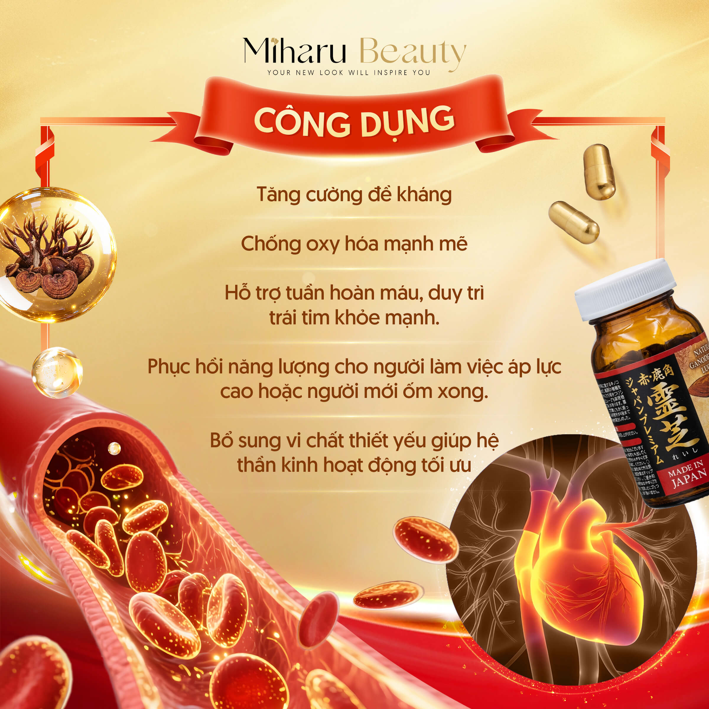 Nấm Linh Chi Sừng Hươu - Natural Deer Horn Reishi