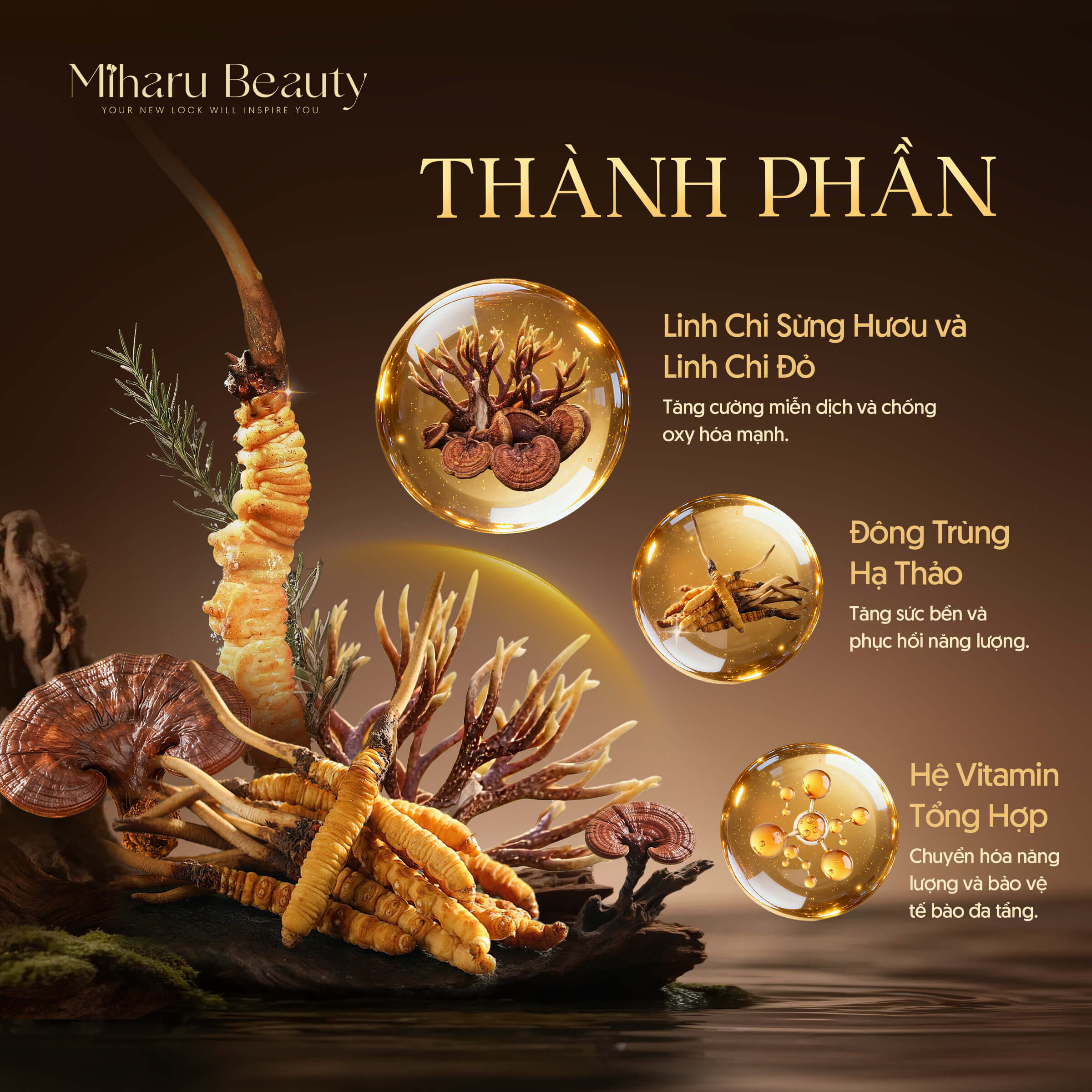 Nấm Linh Chi Sừng Hươu - Natural Deer Horn Reishi