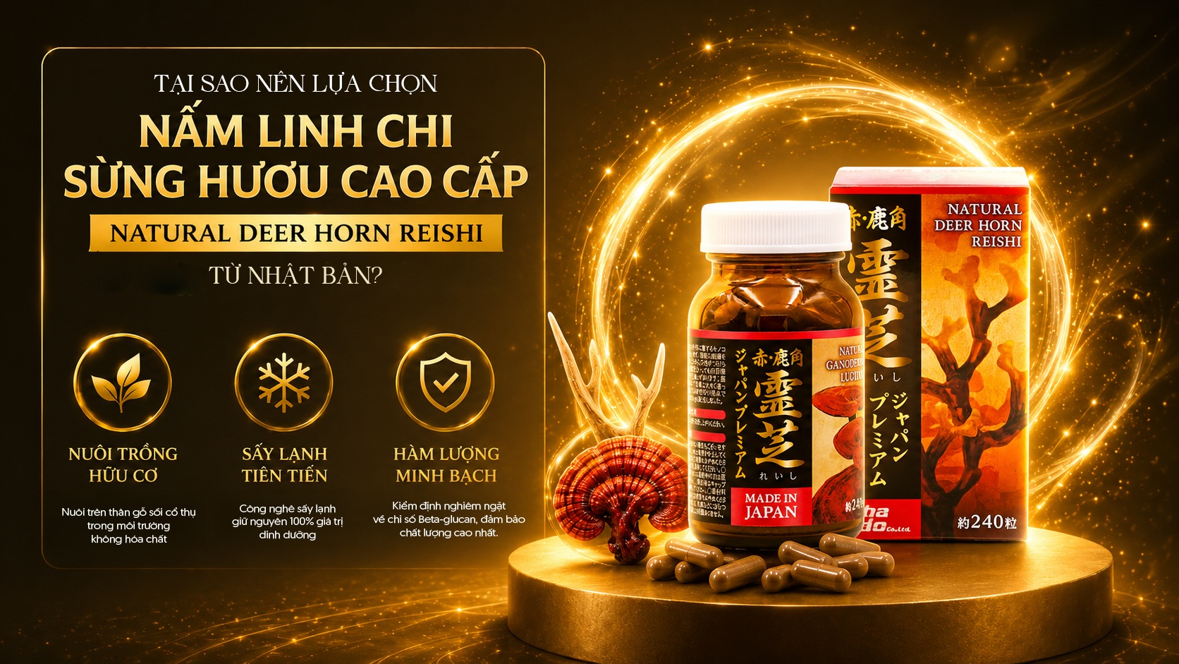 Vì sao Nấm Linh Chi Sừng Hươu Cao Cấp Natural Deer Horn Reishi từ Nhật Bản được nhiều người lựa chọn?